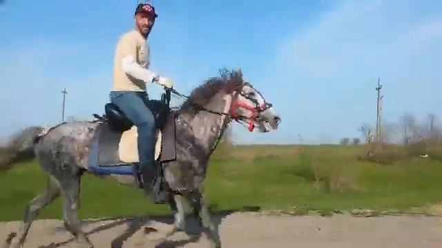 Аварский Иноход (авар бо ) смотреть онлайн