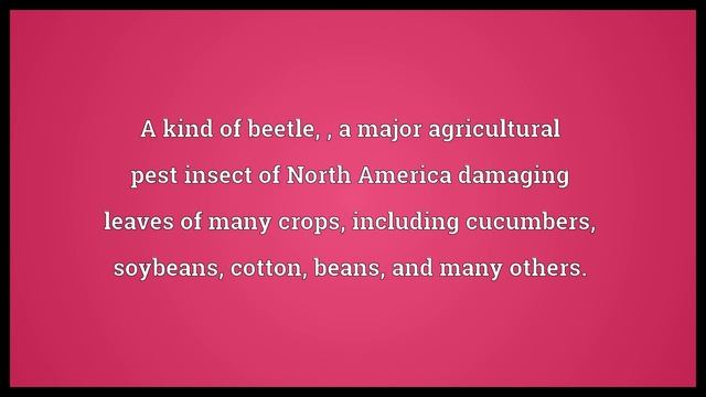 Spotted cucumber beetle Meaning смотреть онлайн