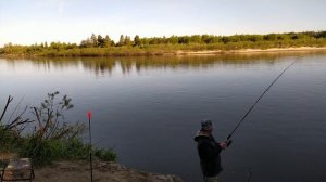 РЫБАЛКА НА РЕКЕ СУРА НА ДОНКИ КРОКОДИЛ. НАЛОВИЛ ВЕДРО РЫБЫ. рыбалка на фидер 2024. рыбалка 2024.