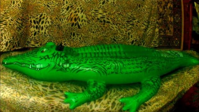 Inflatable Alligator Deflate (part.1) | HD