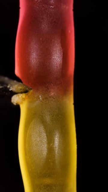 Gummy Worm Cutting смотреть онлайн