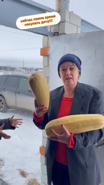 В смысле ты дачу не хочешь ? смотреть онлайн