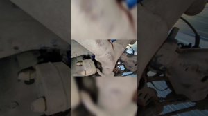 Ford Explorer 5 замена масла в заднем редукторе