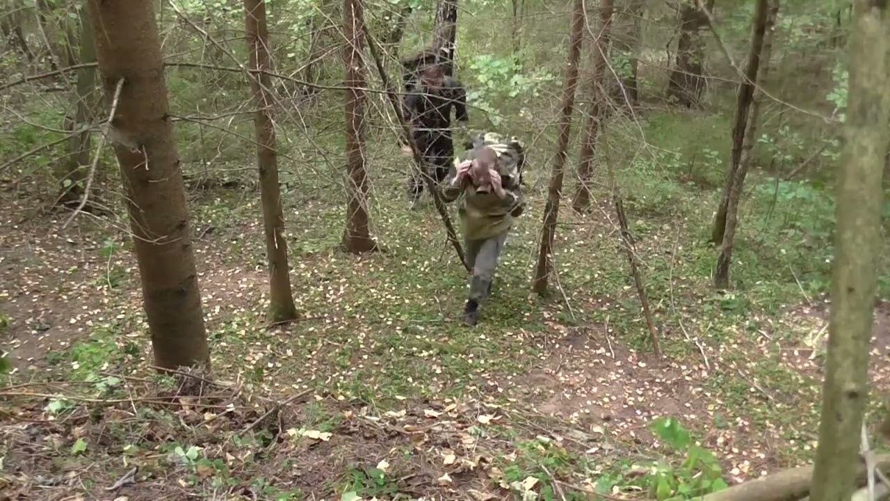 Поход в лес Минской области.