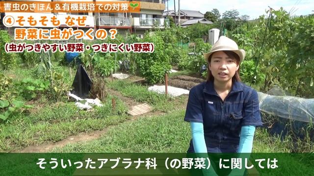 【害虫対策】野菜に虫がつくのはなぜ？有機栽培の虫対策を基本から解説！│かっちゃんの有機栽培ｺｰｻﾞ смотреть онлайн