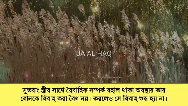 বিয়ে ভঙ্গের ১০টি কারণ। যেসব কারনে স্ত্রী চিরতরে হারাম হয়ে যায়। তালাক থেকে মারাত্মক। Talaq | Jaalhaq смотреть онлайн