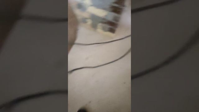 Временная врезка газа. смотреть онлайн