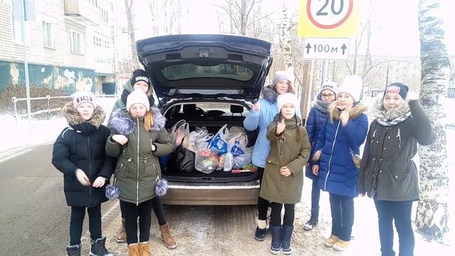 Помощь приюту смотреть онлайн