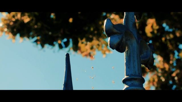 Blackmagic Cinema Camera 2.5K ⏐ Test II (Vnorovy) смотреть онлайн