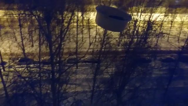 Ночной жор синиц, на березе лузгают семки двое под над смотреть онлайн