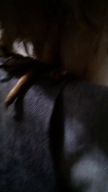 Обморожение лап у ястреба смотреть онлайн