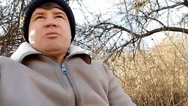 Будущее не оправдывает их надежд.