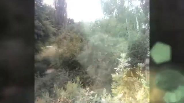 Любимый город смотреть онлайн