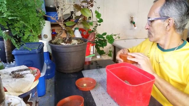 BOMBA DE FERTILIZANTES - FAÇA E NÃO TENHA MAIS PROBLEMAS COM SUAS PLANTAS смотреть онлайн