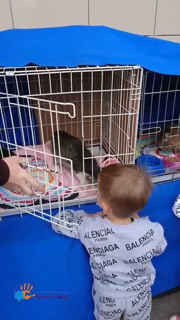 Выставка Август смотреть онлайн