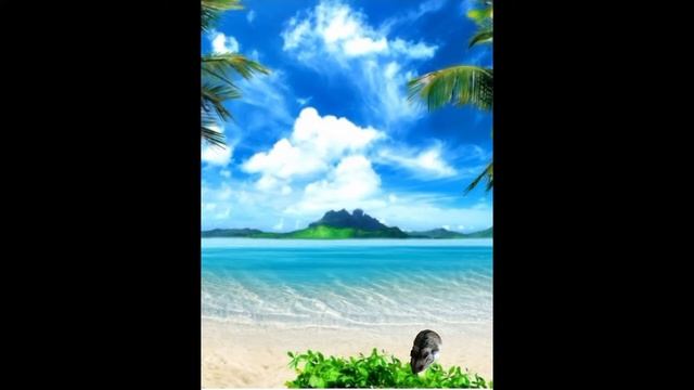 мой хомяк стёпа отдыхает на море смотреть онлайн