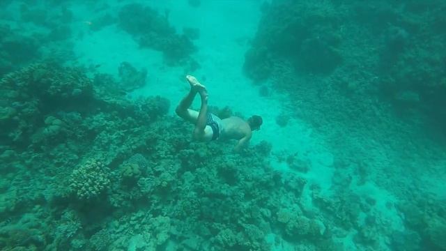 The Shred Crevettes El Gouna Trip смотреть онлайн