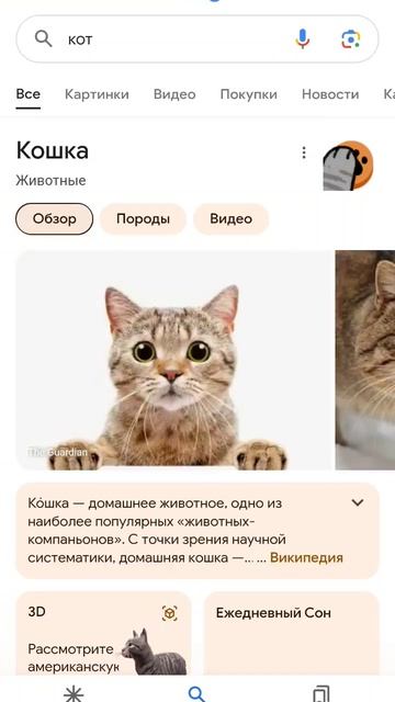 милая фишка в Google смотреть онлайн