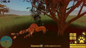 Играю за львицу в Роблокс/Savannah Live в Roblox