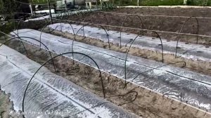 Ноу-хау для огорода, как же я без него обходилась раньше