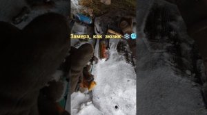 Произвожу демонтаж заднего редуктора автомобиля КАМАЗ 43118. Часть 1