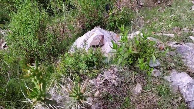 30 años AISLADO en las Montañas, Su única compañera es la SOLEDAD | Apurimac - Chuquibambilla смотреть онлайн