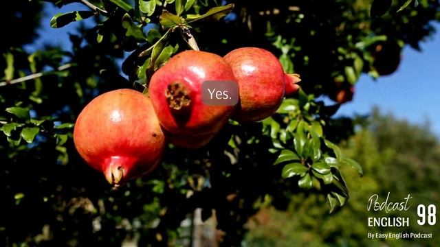 Easy English Podcast #98 I Luyện nghe tiếng Anh có phụ đề смотреть онлайн