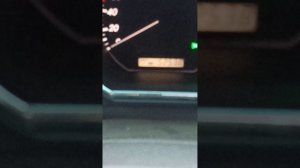 Охота на волка. Тестирование эл.манка.