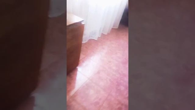 Дед порезал зайца смотреть онлайн