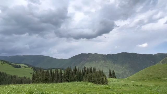 Kazakhstan. Almaty. Nature. Алма - Ата. Кусочки нашей природы. 11 июня 2022. смотреть онлайн