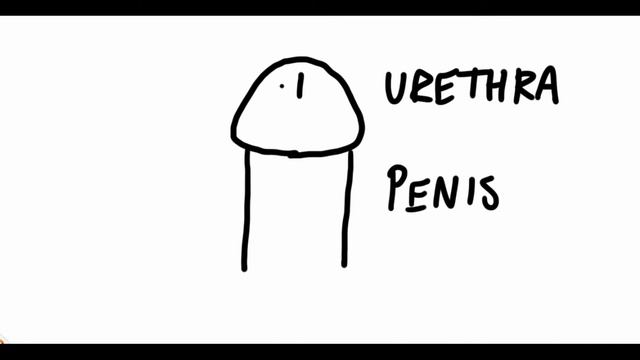 MEATAL STENOSIS Practice Video 1