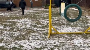 A    ДРАГО ИМПАКУ  - №37