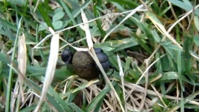 Ganajtúrók смотреть онлайн