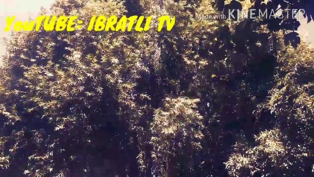 Zinoning Kasofati Hikoya (biroz Ehtirosli 18+)