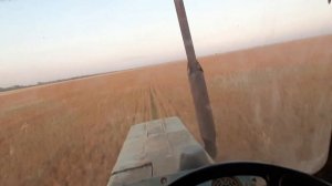 Опрыскивание льна! Сроки сева - главный фактор в борьбе с сорняки!