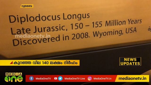 Dubai Mall dinosaur to be auctioned off | 1550 വര്ഷം പഴക്കമുള്ള ദിനോസര് അസ്ഥികൂടം смотреть онлайн