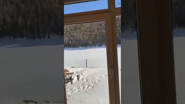 Артмакс д Уразбахты смотреть онлайн