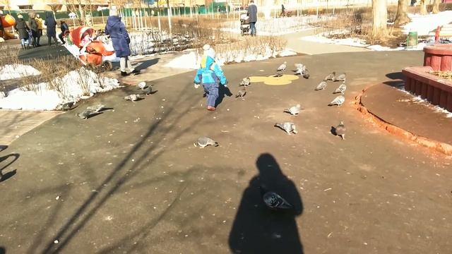 Глеб гоняет голубей смотреть онлайн