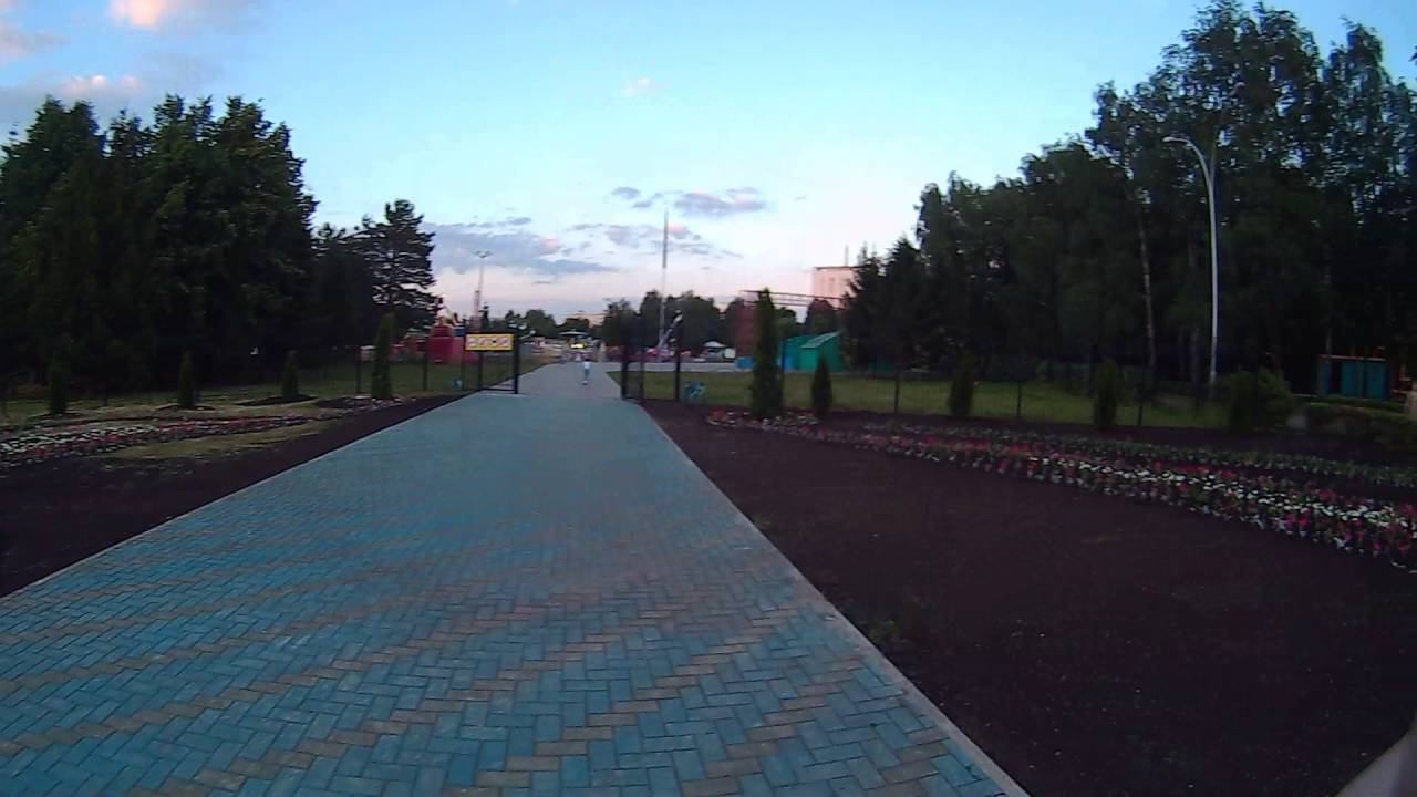 ката СК "БУДО" техника каратэ смотреть онлайн