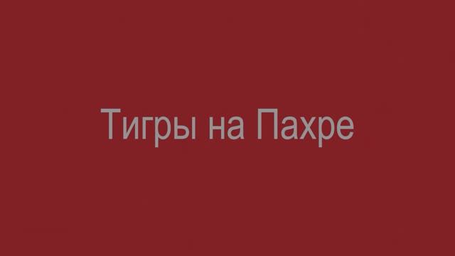 Тигры на Пахре смотреть онлайн
