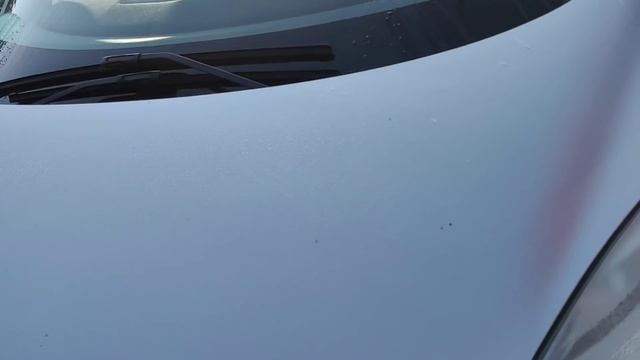 ВЫБИРАЕМ МАШИНУ НА ЛУЦКОМ АВТОРЫНКЕ 🚙🚙🚙 СЮРПРИЗ . смотреть онлайн