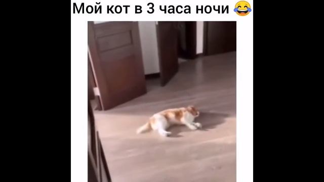 Фокус не удался смотреть онлайн