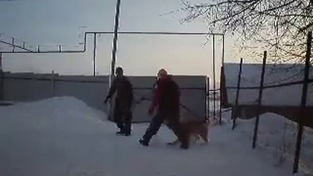 САО Барабулька, 2 года первое занятие смотреть онлайн