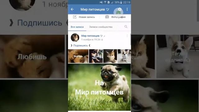 Мир питомцев (ПОДПИШИСЬ) смотреть онлайн