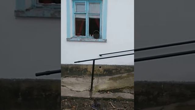 Мои видео возле дома гулял смотреть онлайн