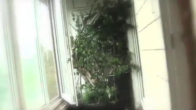 9.m4v смотреть онлайн
