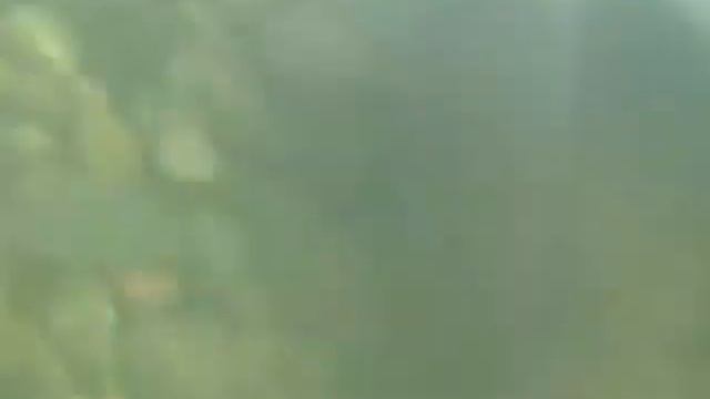 сьемка под водой смотреть онлайн