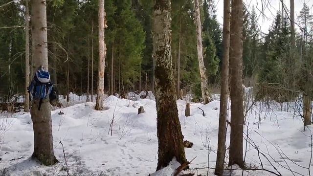 Закрытие лыжного сезона 2023 года. смотреть онлайн