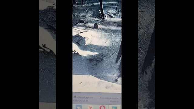 Перевал Дятлова. ..куклы... смотреть онлайн