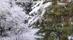 ❄️Зимняя❄️ Сказка 👀❄❤❄❤❄❤